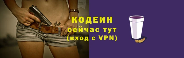 крисы Козловка