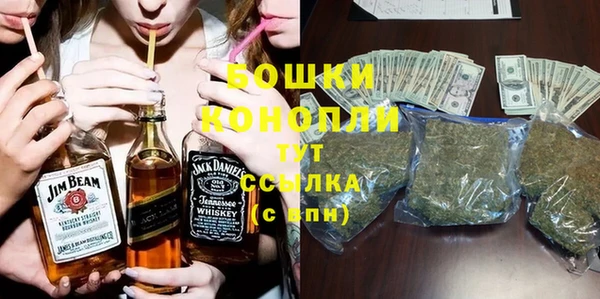 крисы Козловка