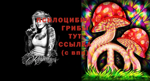 a pvp Киренск
