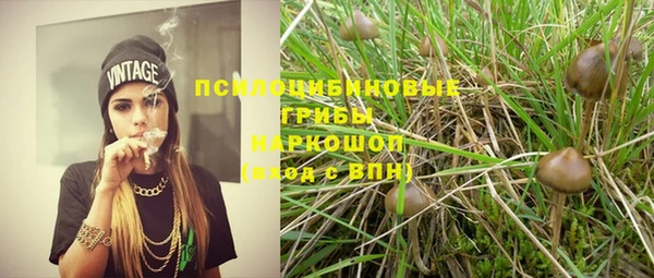 a pvp Киренск