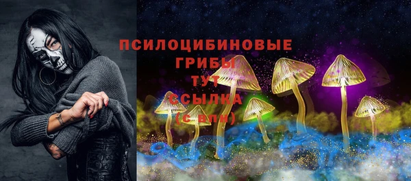 крисы Козловка