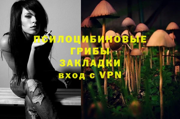 a pvp Киренск